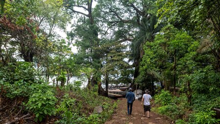 Sierra Leone Adventure: History, Culture & Nature