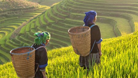 Thailand Hilltribe Trek