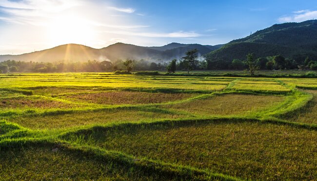 Highlights of Thailand