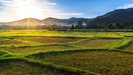 Highlights of Thailand