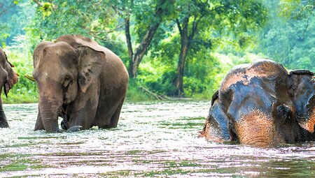 Explore Northern Thailand