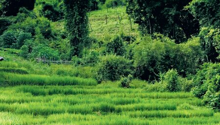Beautiful Northern Thailand