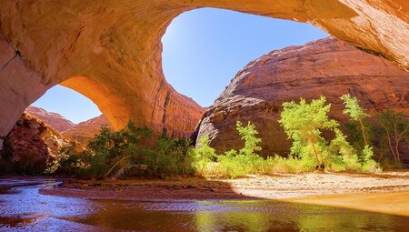Zion Family Ranch Stay 