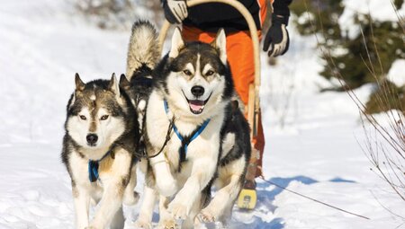 Alaska Winter Adventure