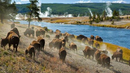 Yellowstone and Grand Teton Adventure