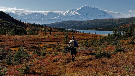 Hiking in Denali National Park