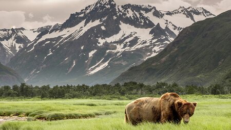 Hiking in Denali National Park
