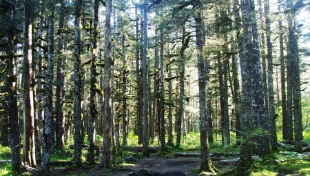 Hiking in Kenai Fjords National Park