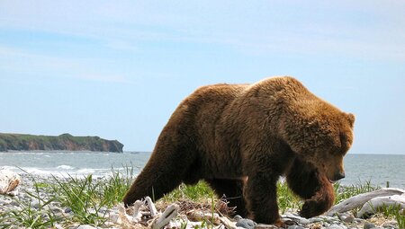 Hiking in Kenai Fjords National Park