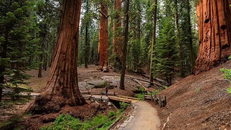 Hiking in Yosemite National Park