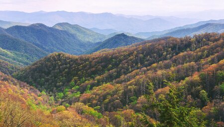 Hiking the Best of Great Smoky Mountains National Park		