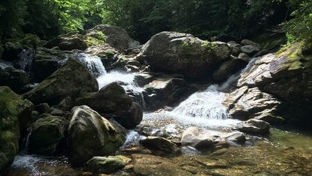 Hiking and Backpacking North Carolina's Appalachian Mountains