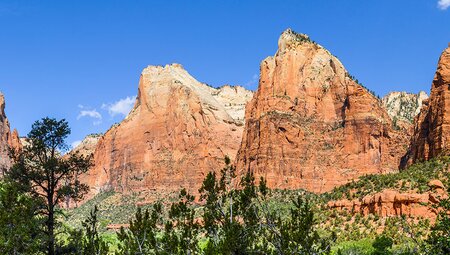 Hiking and Camping in Zion