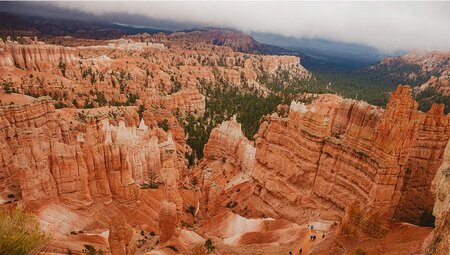 Western USA National Parks Loop