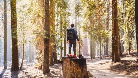 San Fran to Vegas:  Parks, Canyons, Valleys