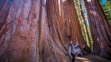 Best of California's National Parks