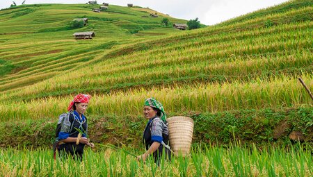 Hiking in Sapa