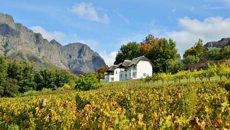 Premium Cape Town and the Garden Route