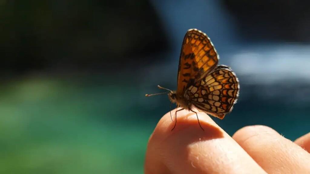 Albanien – Wandern in den Albanischen Alpen
