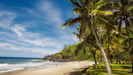 La Réunion - l'île Intense