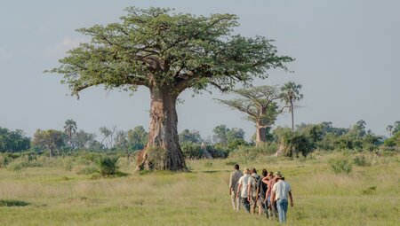 Die Highlights des südlichen Afrika erleben