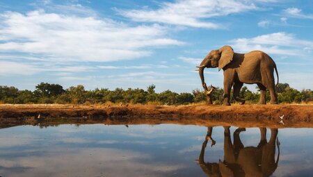 Die Highlights des südlichen Afrika erleben