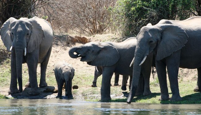 Südafrika - die Highlights der Kapregion und Gardenroute erwandern