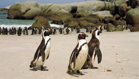 Südafrika und Namibia auf verborgenen Wegen entdecken