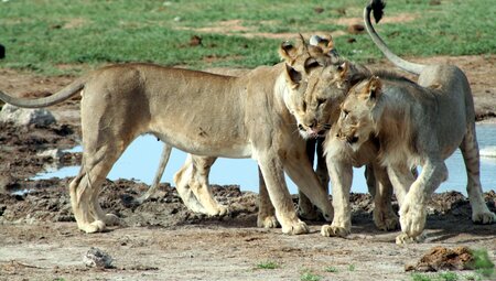 Südafrika und Namibia auf verborgenen Wegen entdecken
