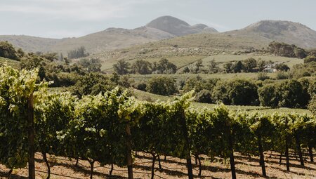 Südafrika - der Wein Trail