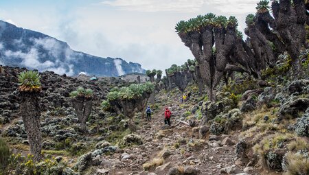 Kilimanjaro - Machame Route Zusatztag