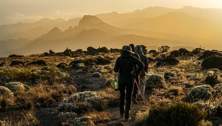 Kilimanjaro - Lemosho Route mit Crater Camp - Privatreise