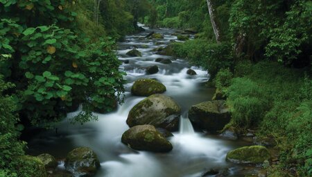 Costa Ricas Highlights erwandern