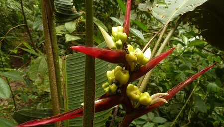 Ecuador auf verborgenen Wegen entdecken