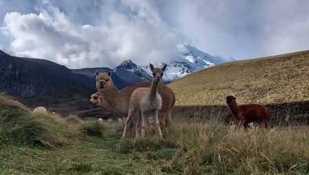 Ecuador Lodge Trekking