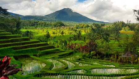 Indonesiens Highlights erleben