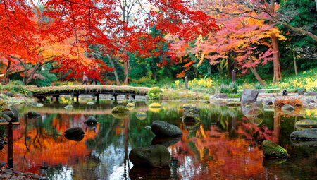 Japan - am Gipfel des Fuji