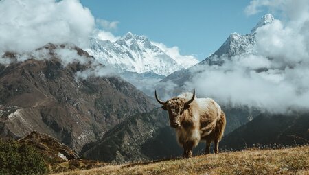 Nepal Everest - auf unbekannten Pfaden erwandern