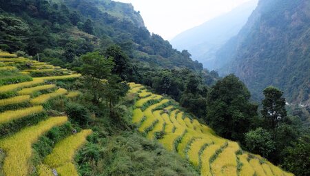 Nepal - Annapurna komfortabel erwandern individuell