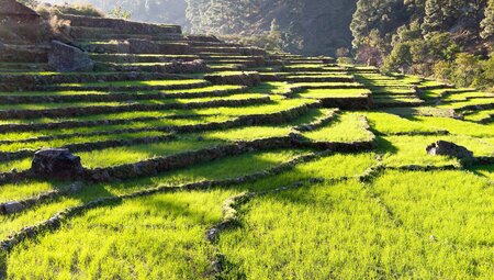 Nepal - Annapurna-Trek zum Poon Hill