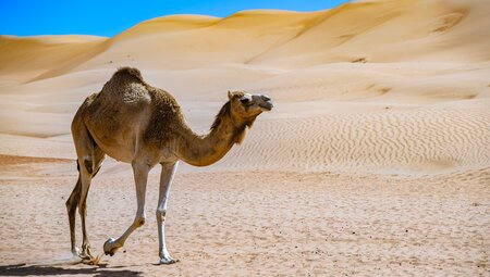 Oman für Singles und Alleinreisende