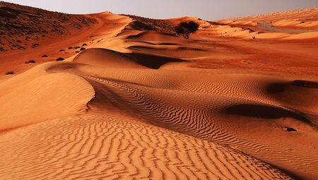 Oman Wahiba Sands