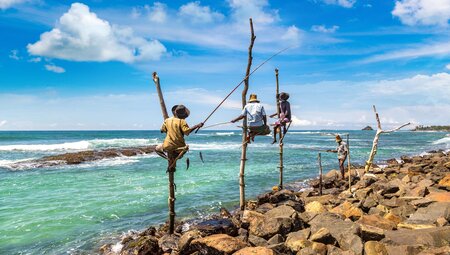 Sri Lankas Highlights erleben