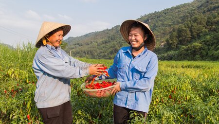 Vietnam - Eine kulinarische Entdeckungsreise