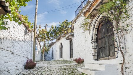Altstadt Rali