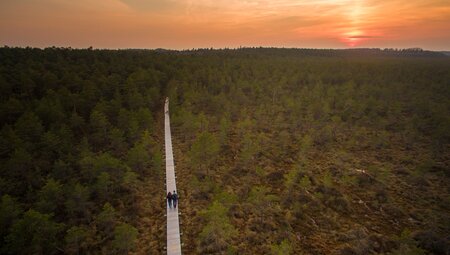 Das Baltikum gemütlich erwandern