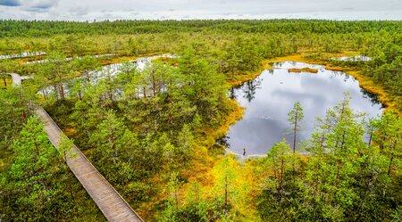 Baltikum Estland Lahemaa