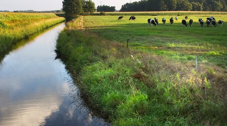 Im Süden von Ostfriesland: Radtour durch ein freies Land