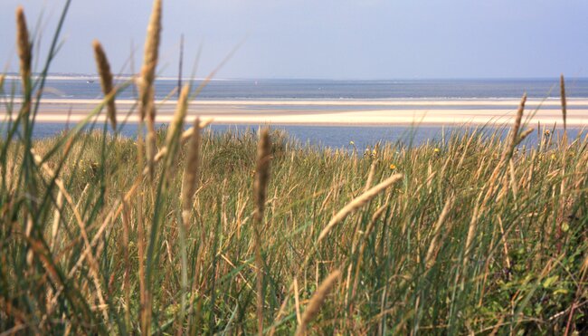 Ostfriesland Küstenlandschaft