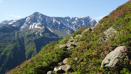 Alpenüberquerung individuell - am E5 von Oberstdorf nach Meran